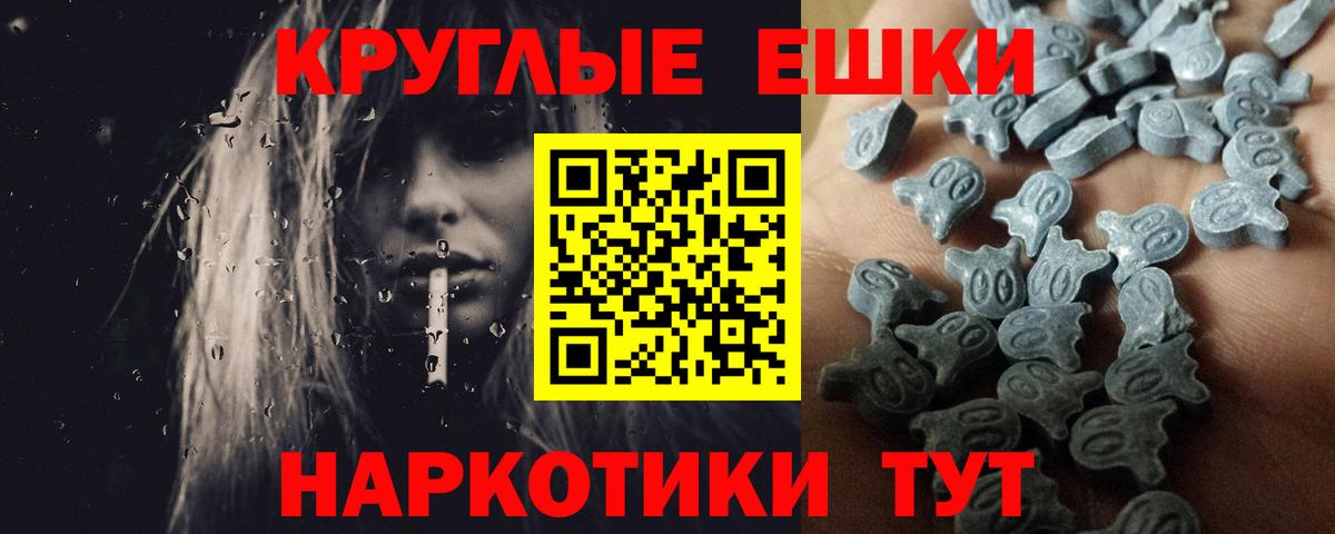 ЭКСТАЗИ Philipp Plein  Вход с VPN  Советск  Экстази ешки 