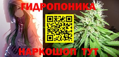 эйфоретик Обь